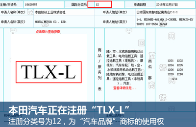 讴歌在华将国产大型轿车 命名“TLX-L”